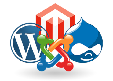 Expert Website Development Services for Any CMS